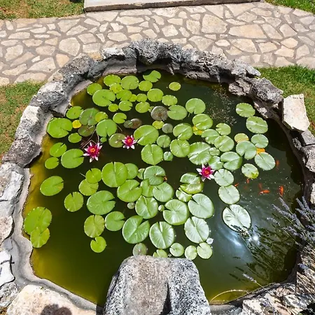 Lilo Lavender Loborika